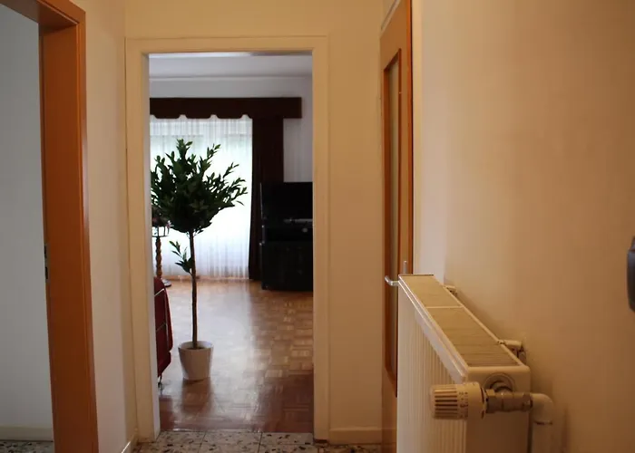 Sohre Zajazd Hamburg